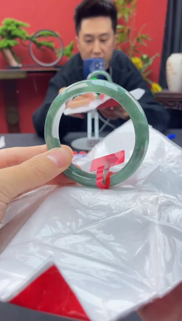 未镶嵌手镯翡翠2