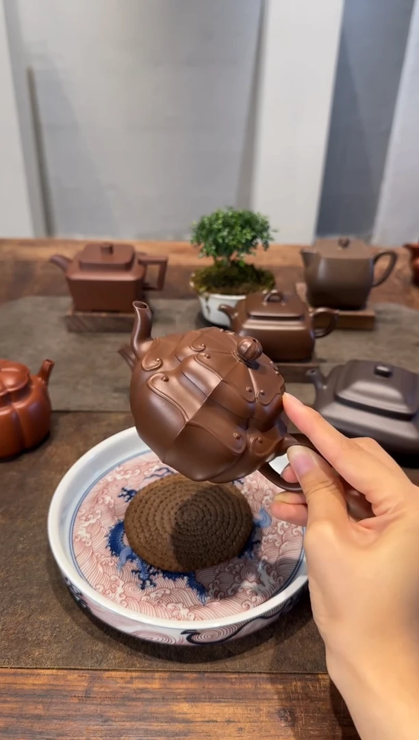 茶壶紫砂二*.向阳而生