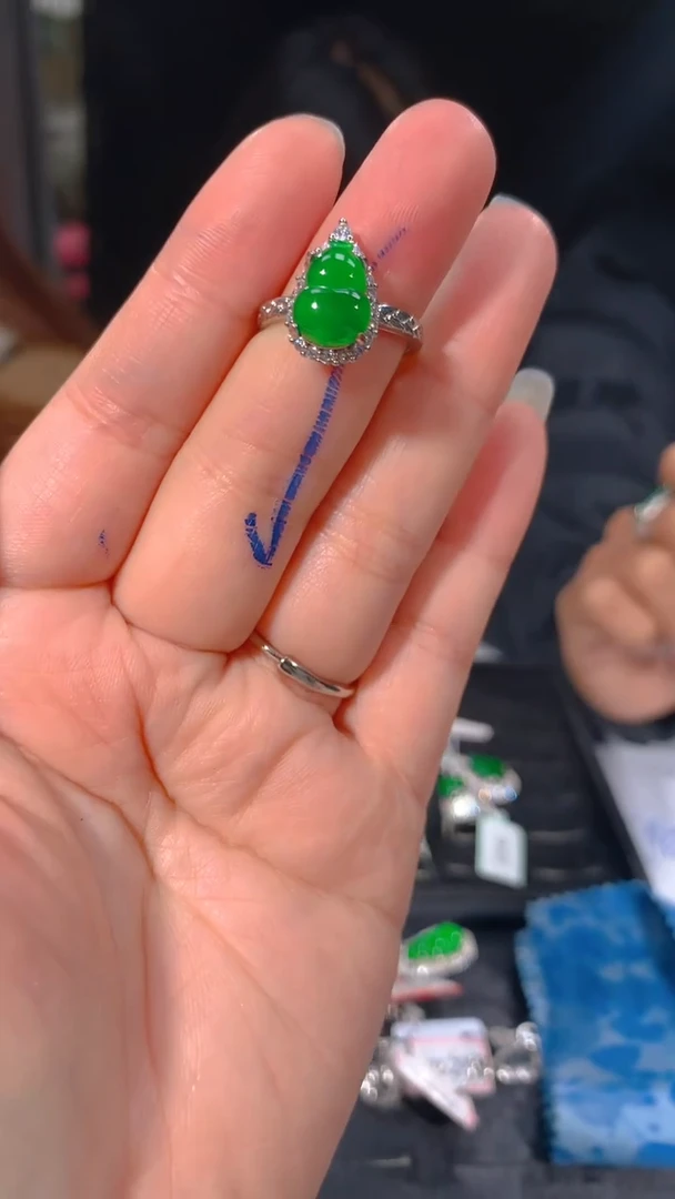 【闪购商品】定制翡翠未镶嵌60多样性发货（发其一）