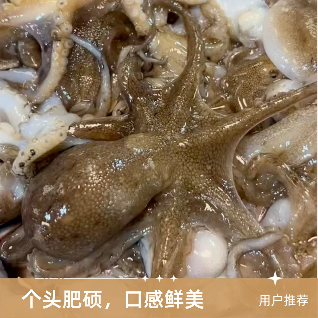 【保鲜不保活】新鲜短腿小八带