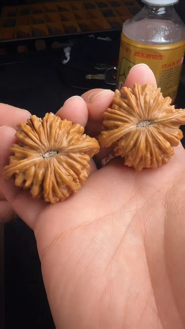 把件文玩核桃47尺全品山西汉高楼