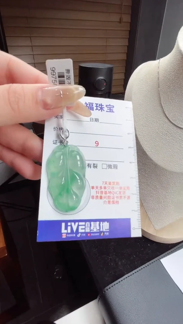 吊坠(赠链)银S925镶嵌石英质玉（非洲翠）30.105叶子