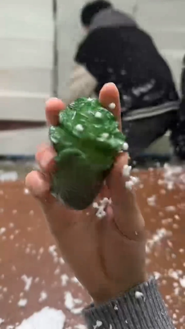 @@@@@@@@@@@@@@@@@@@白菜