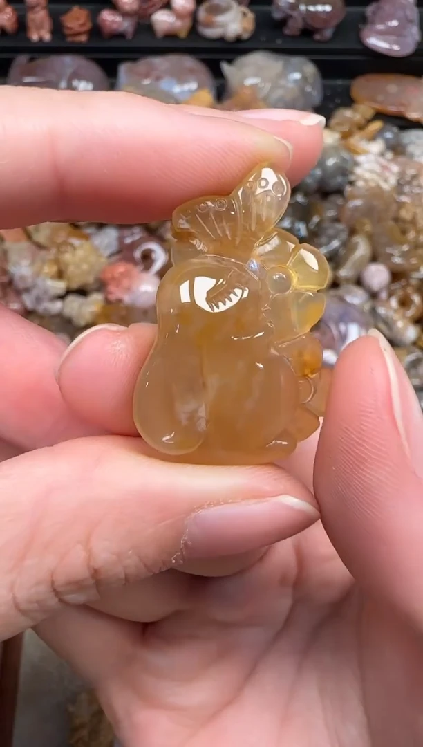硅化珊瑚（珊瑚玉）未镶嵌颈饰329