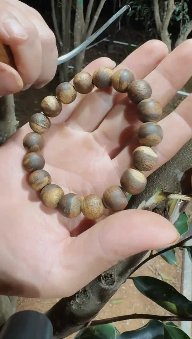 沉香碎屑沉香加虎斑棋1.2*12 多样性发1