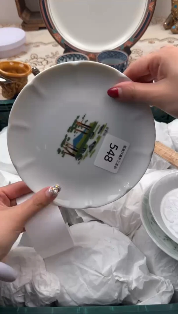 【闪购商品】瓷片A           548