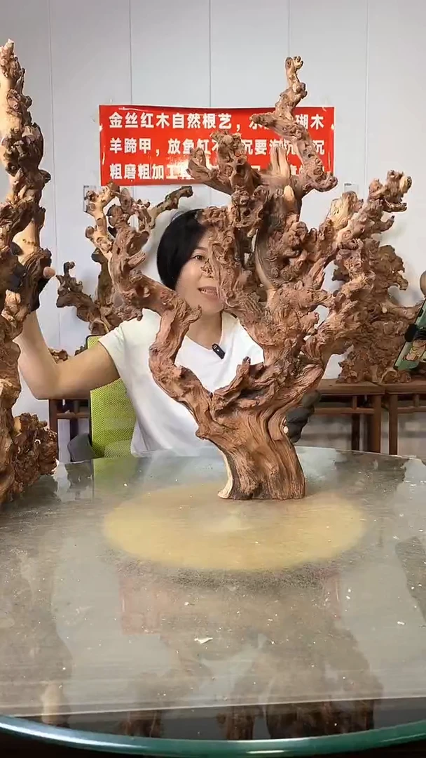 香榧木金丝红木 羊蹄甲