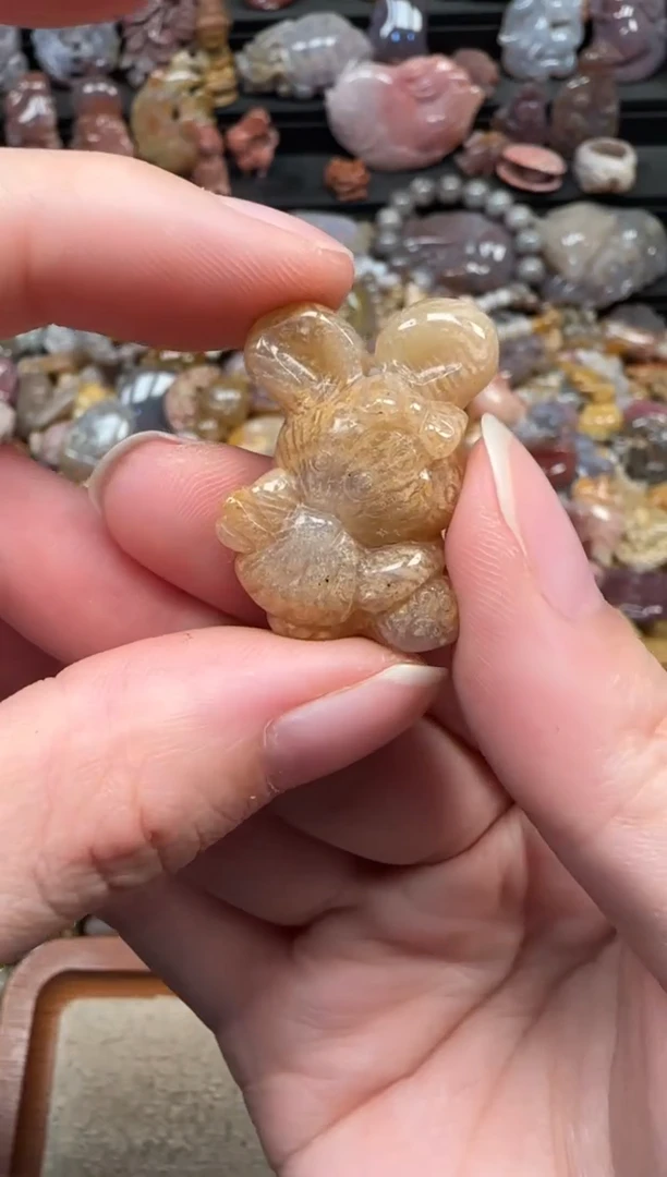 颈饰未镶嵌硅化珊瑚（珊瑚玉）541