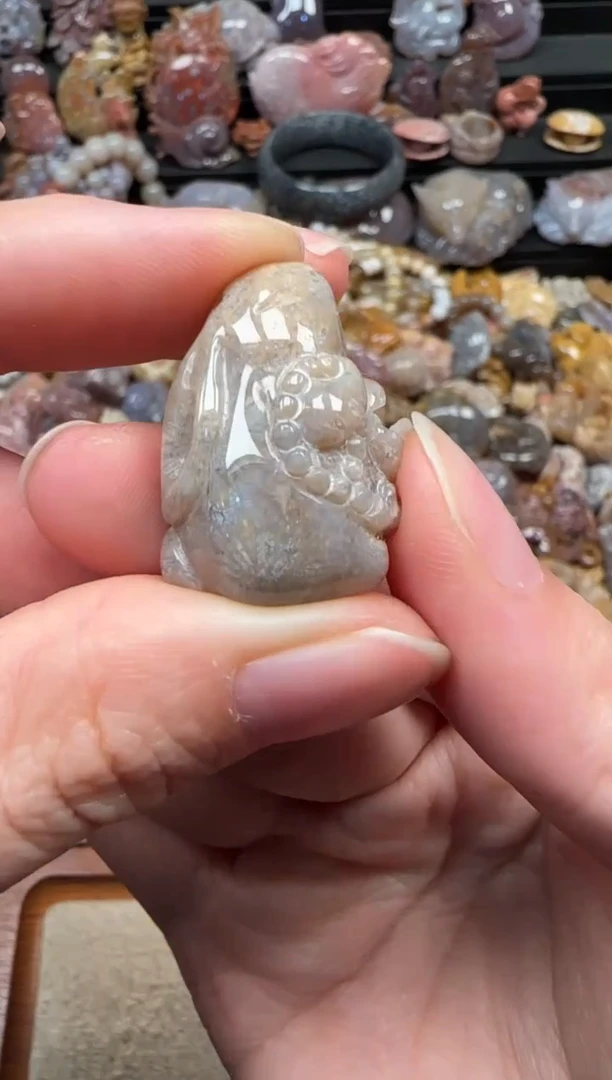 颈饰未镶嵌硅化珊瑚（珊瑚玉）782