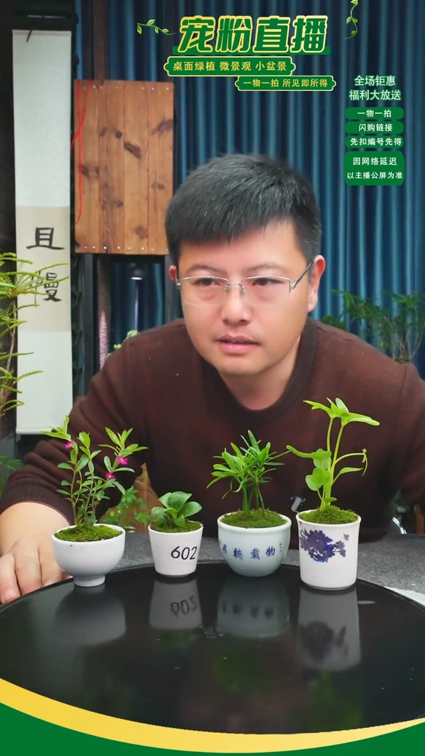 无花朵一**川苔藓微景观602号