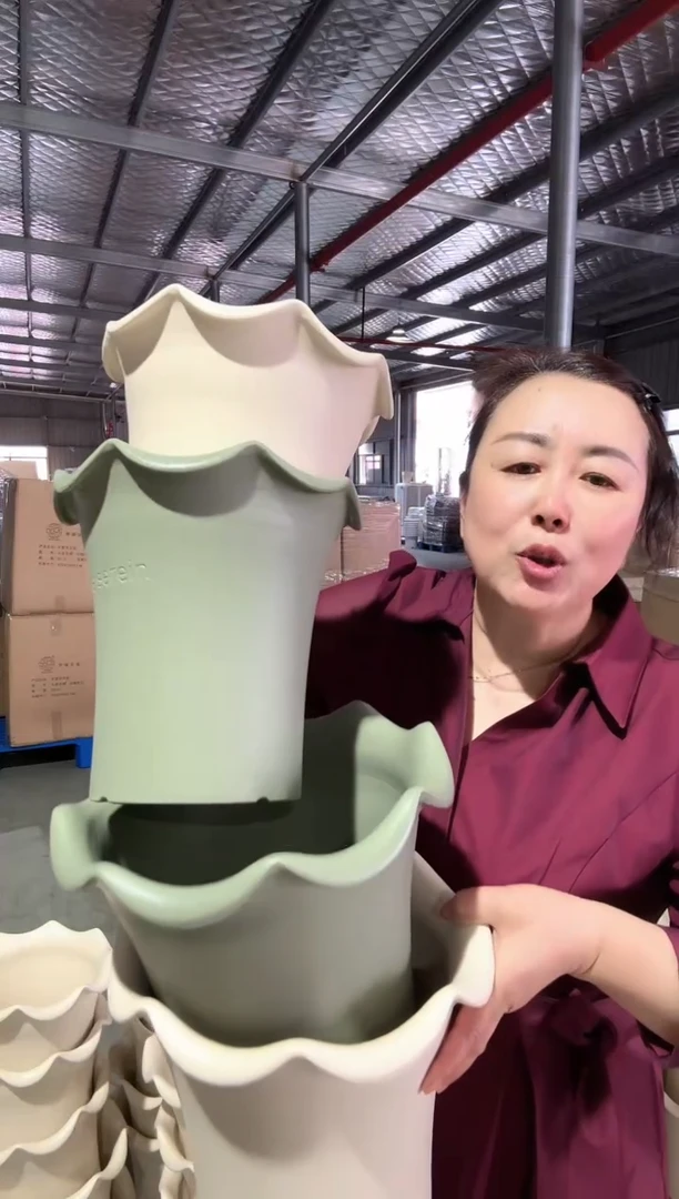 露苏尔2只220+2只270混色带托