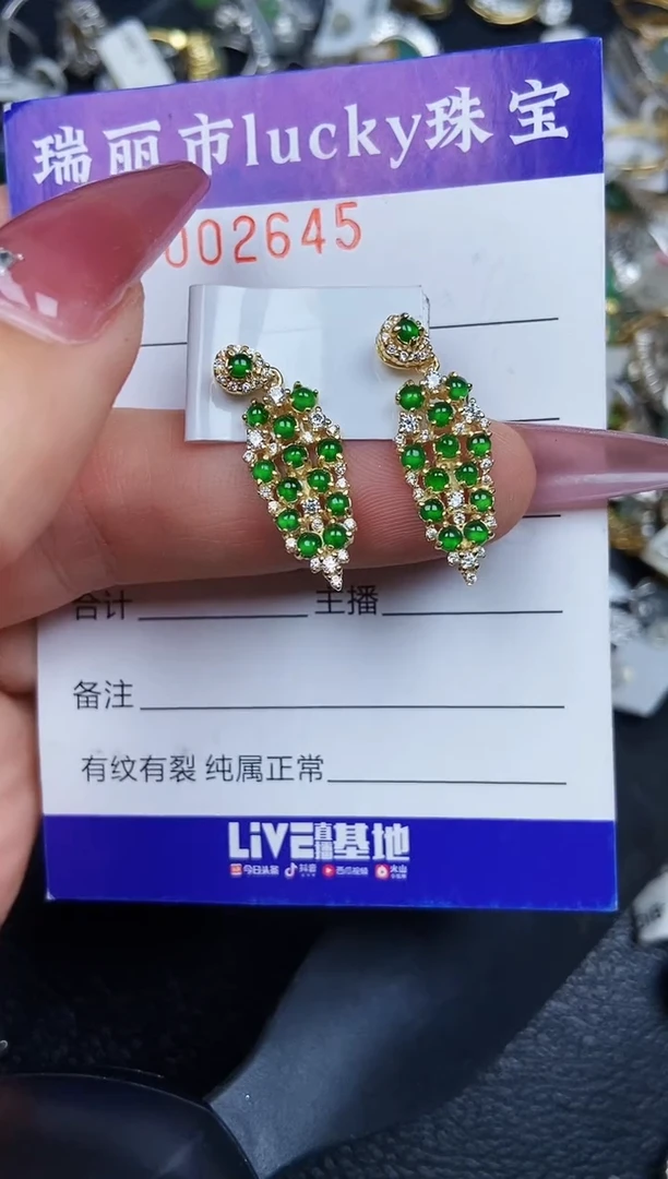 翡翠银S925镶嵌颈饰2645