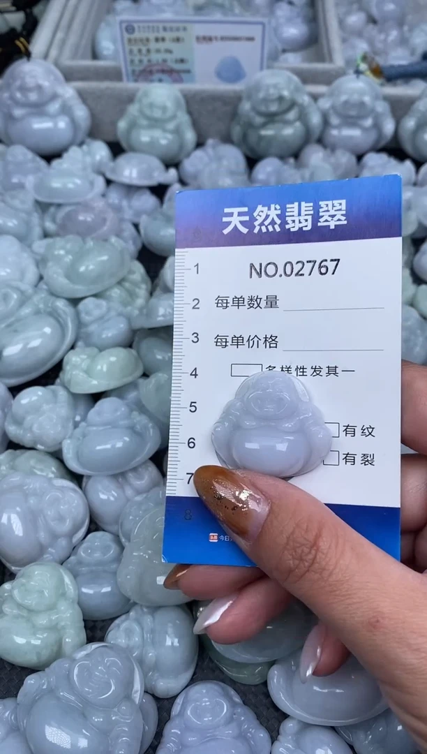 颈饰未镶嵌翡翠纯天然A货翡翠2767