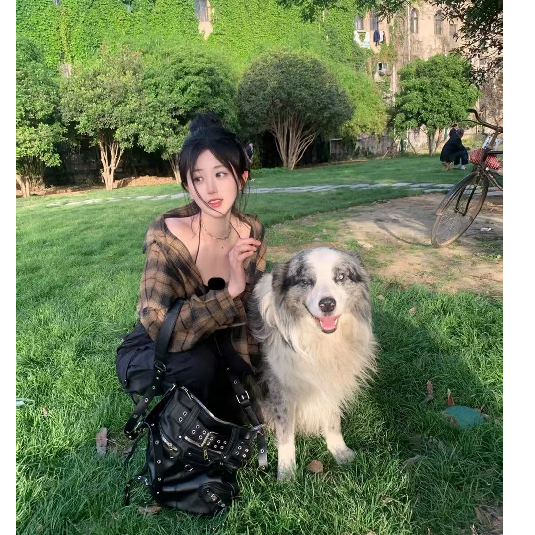 泡芙家边牧57李恒边境牧羊犬活体宠物狗狗”