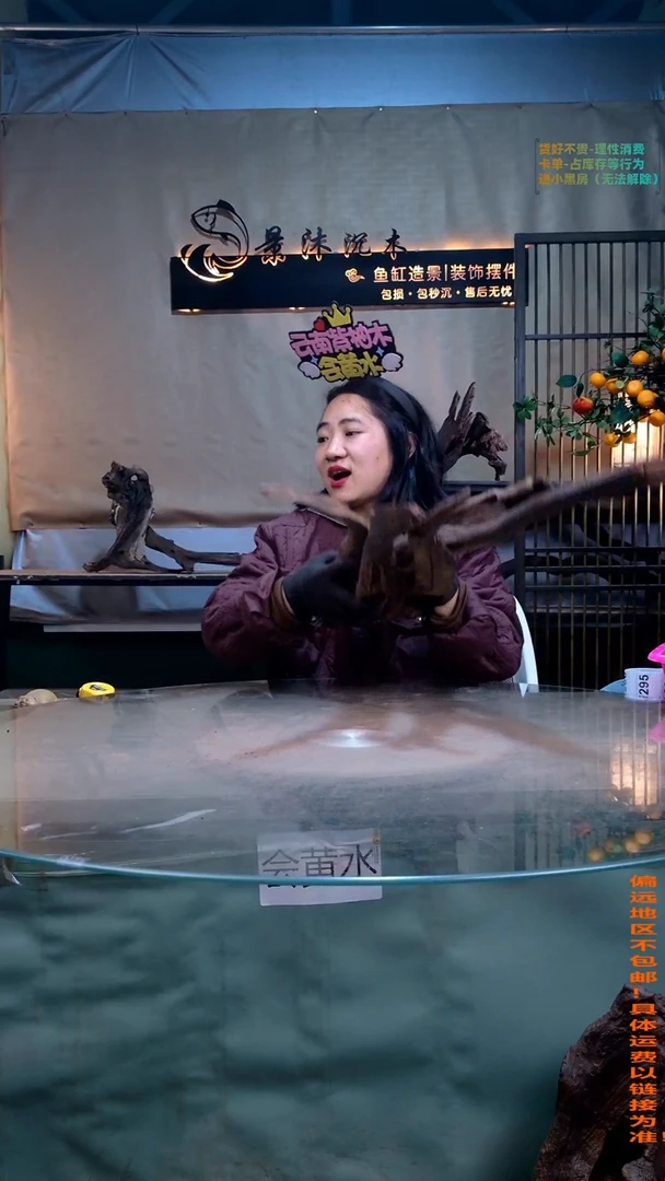 摆件景沐沉木J290景沐沉木J290