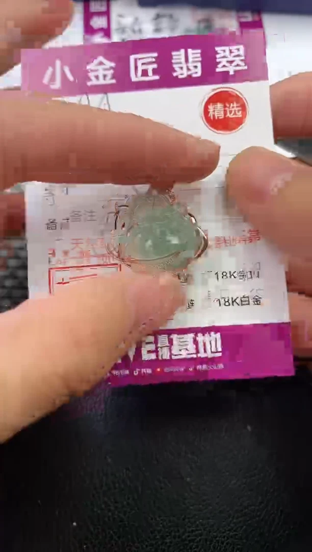 翡翠银S925镶嵌颈饰·