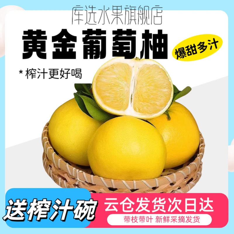 【明日达｜送榨汁碗】福建爆汁黄金葡萄柚非柚子当季新鲜带枝叶发货更新鲜福建省