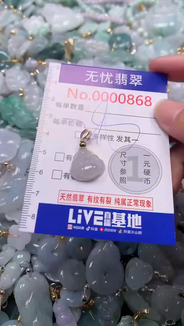 吊坠(不含链)未镶嵌翡翠868