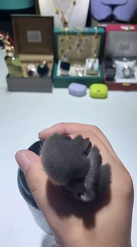 瓷片生活的本意就是开心@@1