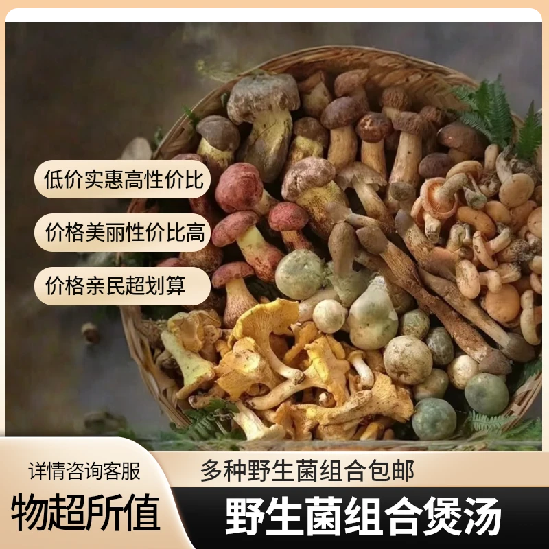 云南野生菌鸡枞奶浆菌黑牛肝紫葱鸡油菌5种野生菌组合顺丰包邮