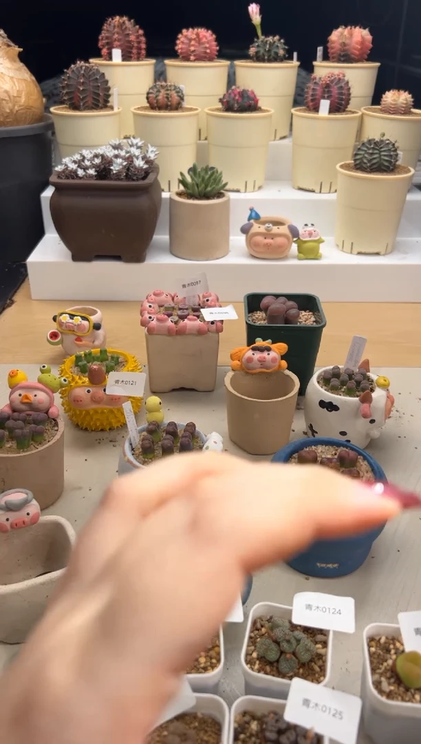 0128。。。。。。。。。。。。。