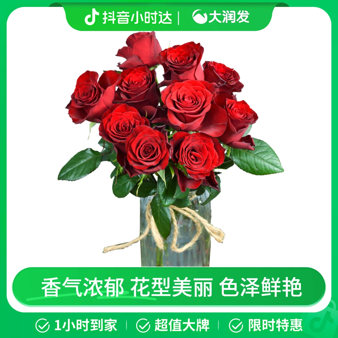 【大展红图】云南单头玫瑰 红色系 10枝/束