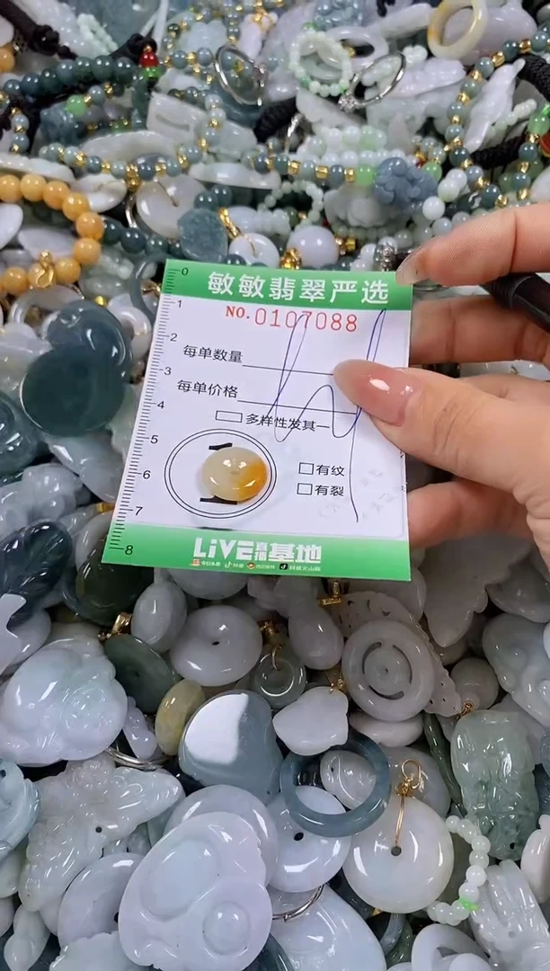 【闪购商品】翡翠颈饰未镶嵌闪购0107088
