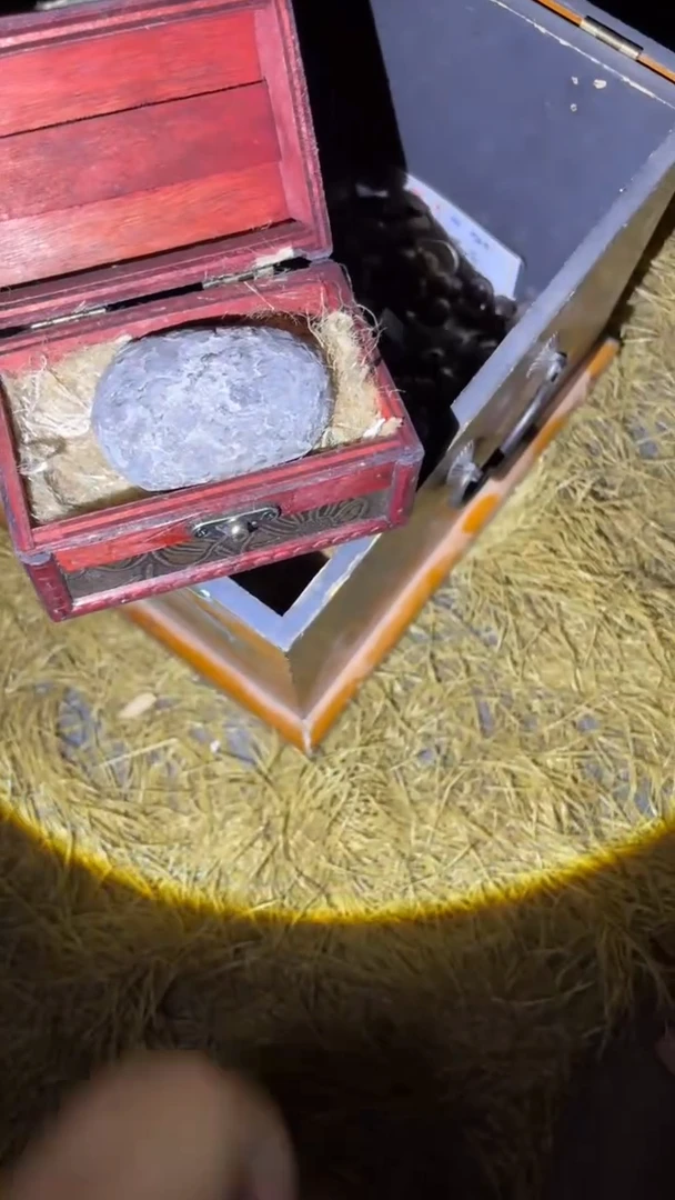 木哈哈哈哈哈哈哈哈哈