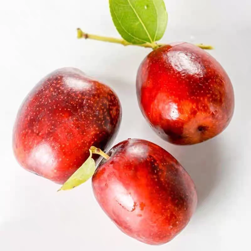 甘肃临泽小枣新鲜红枣脆甜鲜枣现摘现发当季水果青枣5斤装礼盒