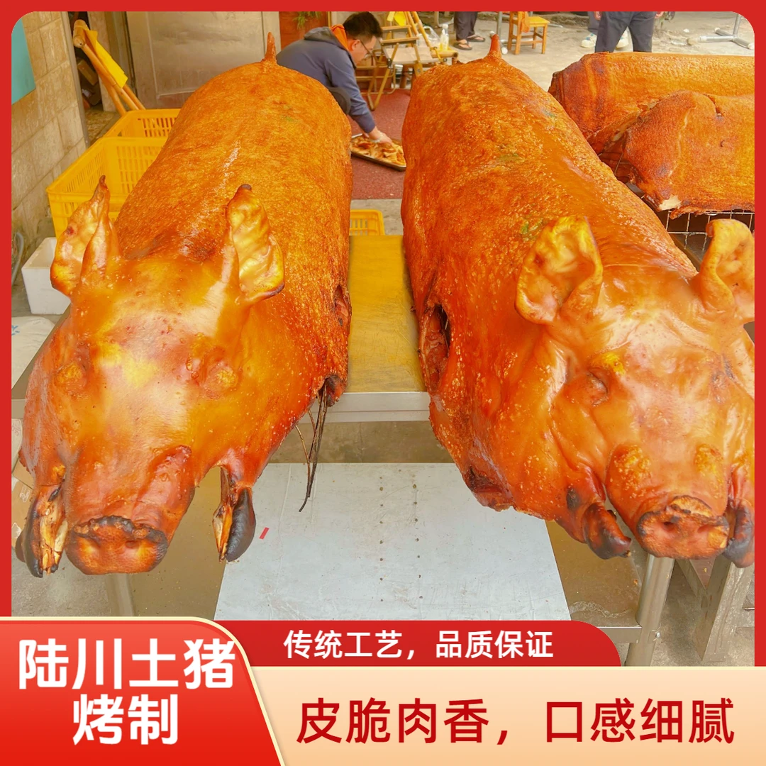 买1斤送1斤到手两斤陆川烤土猪脆皮金黄整只烤猪加热即食抽真空发顺丰