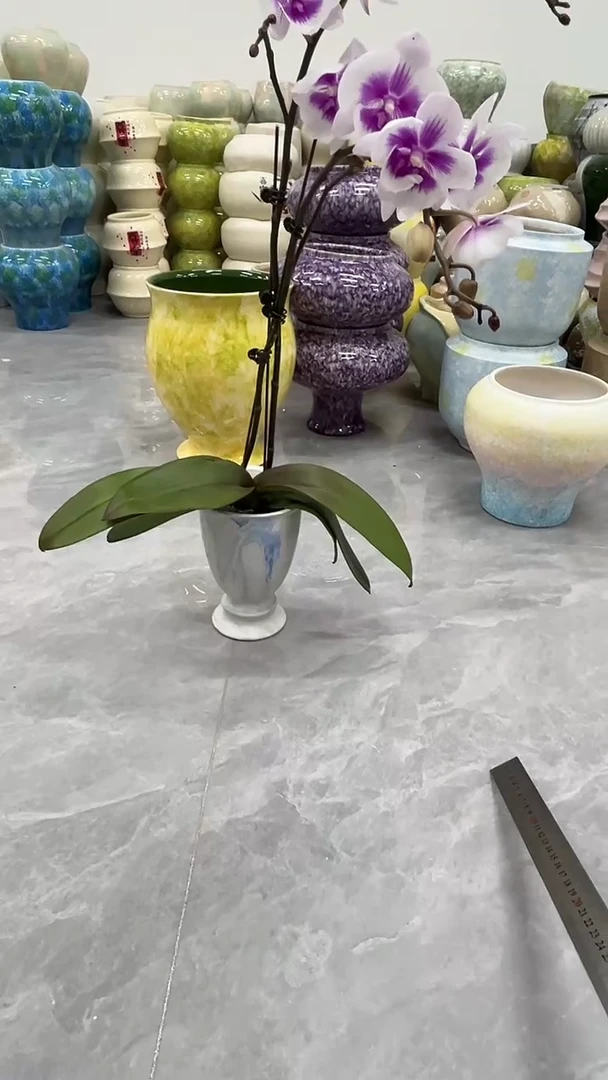 12.3陶瓷花盆直播链接高.  17    口11