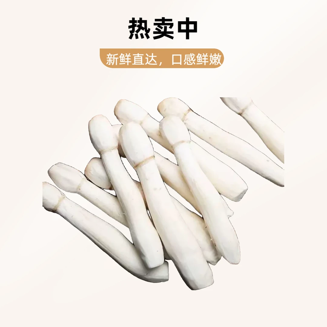 【煲汤季】鲜鸡腿菇 200g/份 火锅煲汤