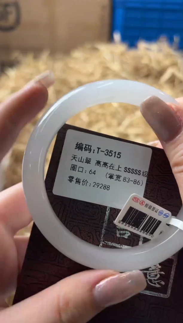 未镶嵌手镯石英质玉T-3515
