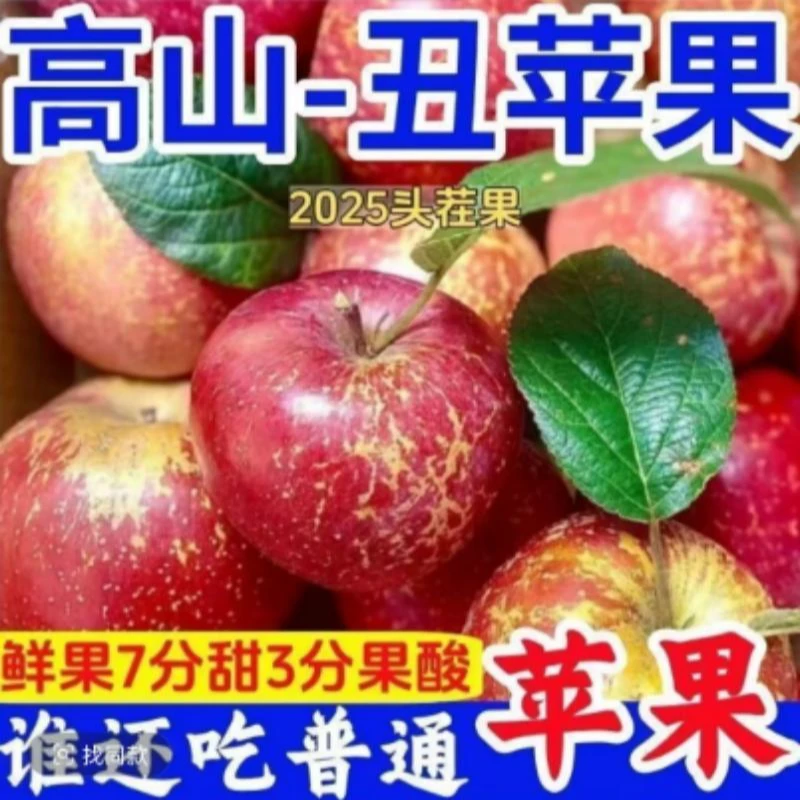 高原丑苹果5斤/9斤新鲜脆甜多汁头叉当季应季水果现摘现发