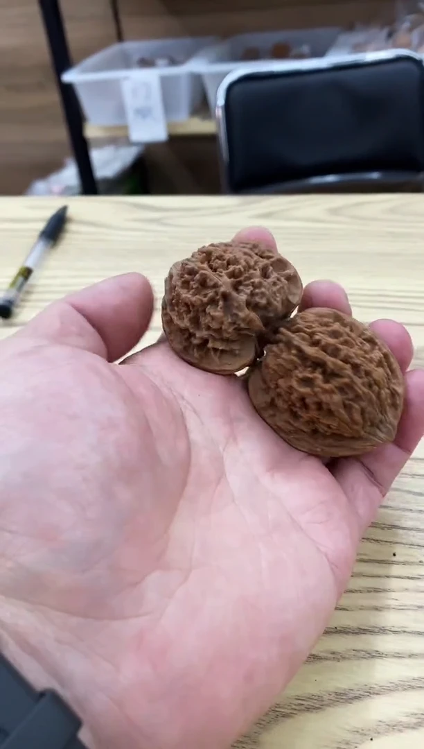 把件核桃【百花山狮子头】0.1元#练手对