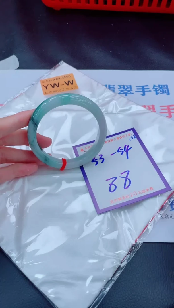 未镶嵌手镯翡翠11111111