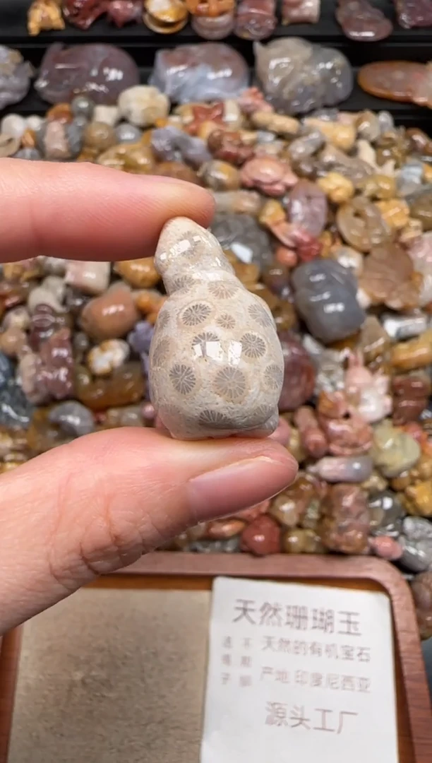 硅化珊瑚（珊瑚玉）未镶嵌颈饰286