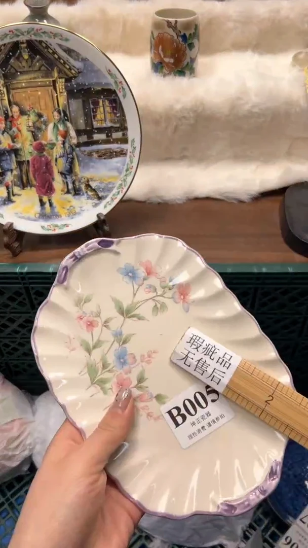 【闪购商品】瓷片          B005