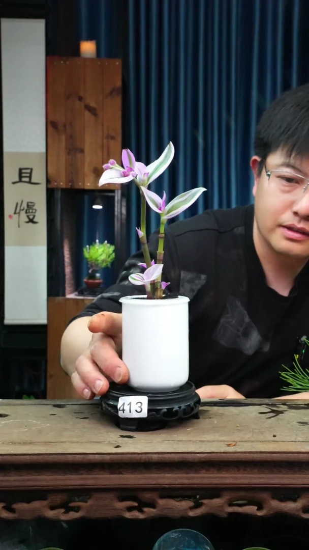 苔藓微景观413号