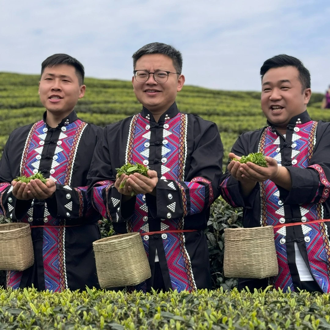 2025年明前毛峰嫩芽新茶明前春茶甘醇栗香QC