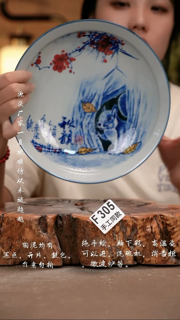 其他F305 新十二器