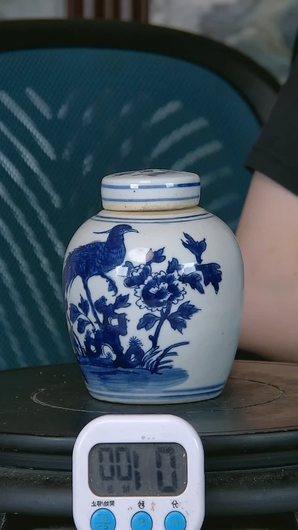 青花精绘花鸟图罐