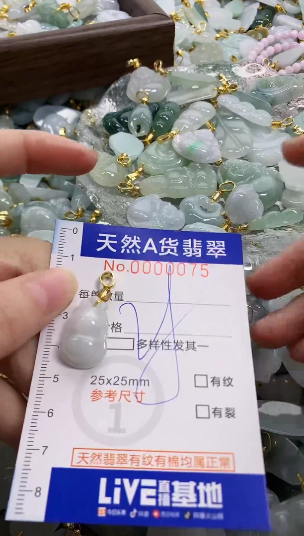 颈饰未镶嵌翡翠天然A货翡翠