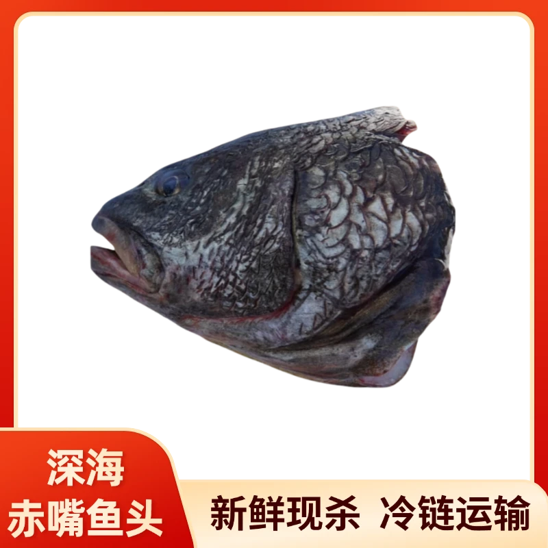 新鲜【鱼头+鱼尾】赤嘴鳘鱼米鱼鮸鱼鱼头煲汤煮汤鱼头汤海鲜