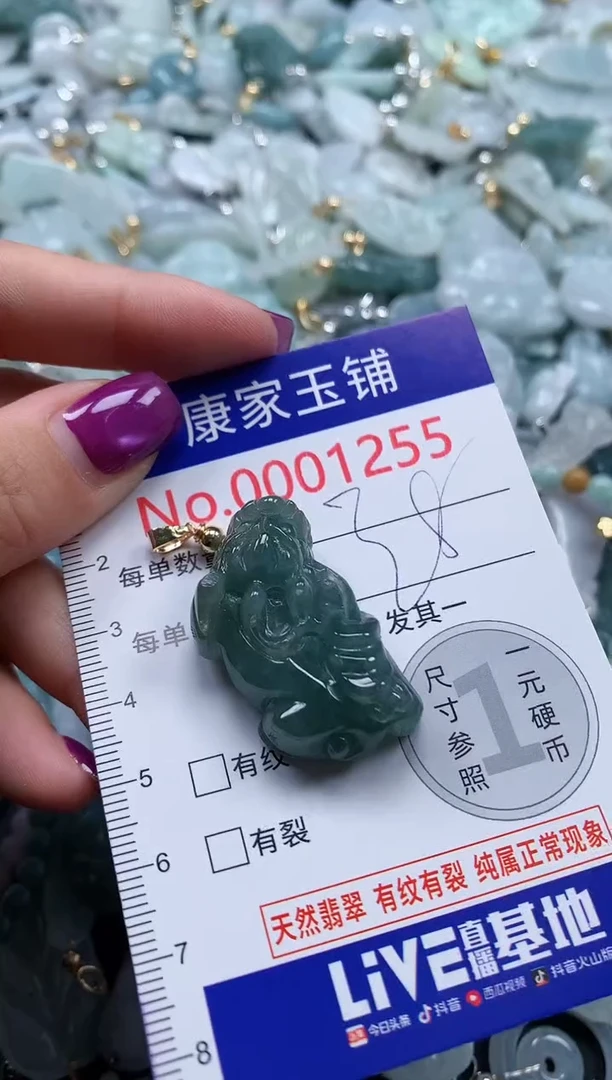 颈饰未镶嵌翡翠1255