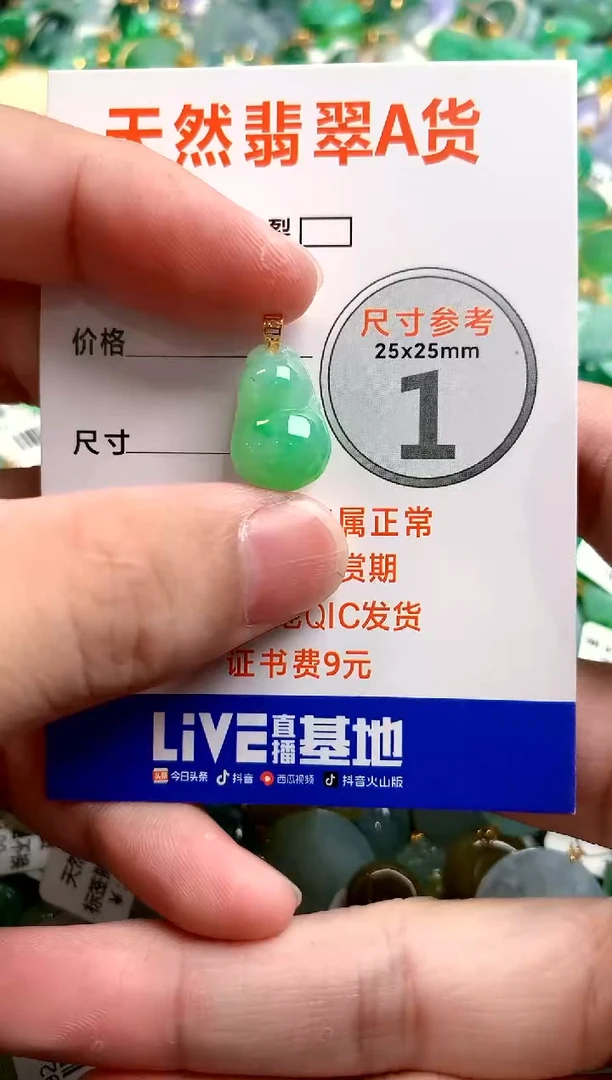 颈饰18K金镶嵌翡翠0852230351