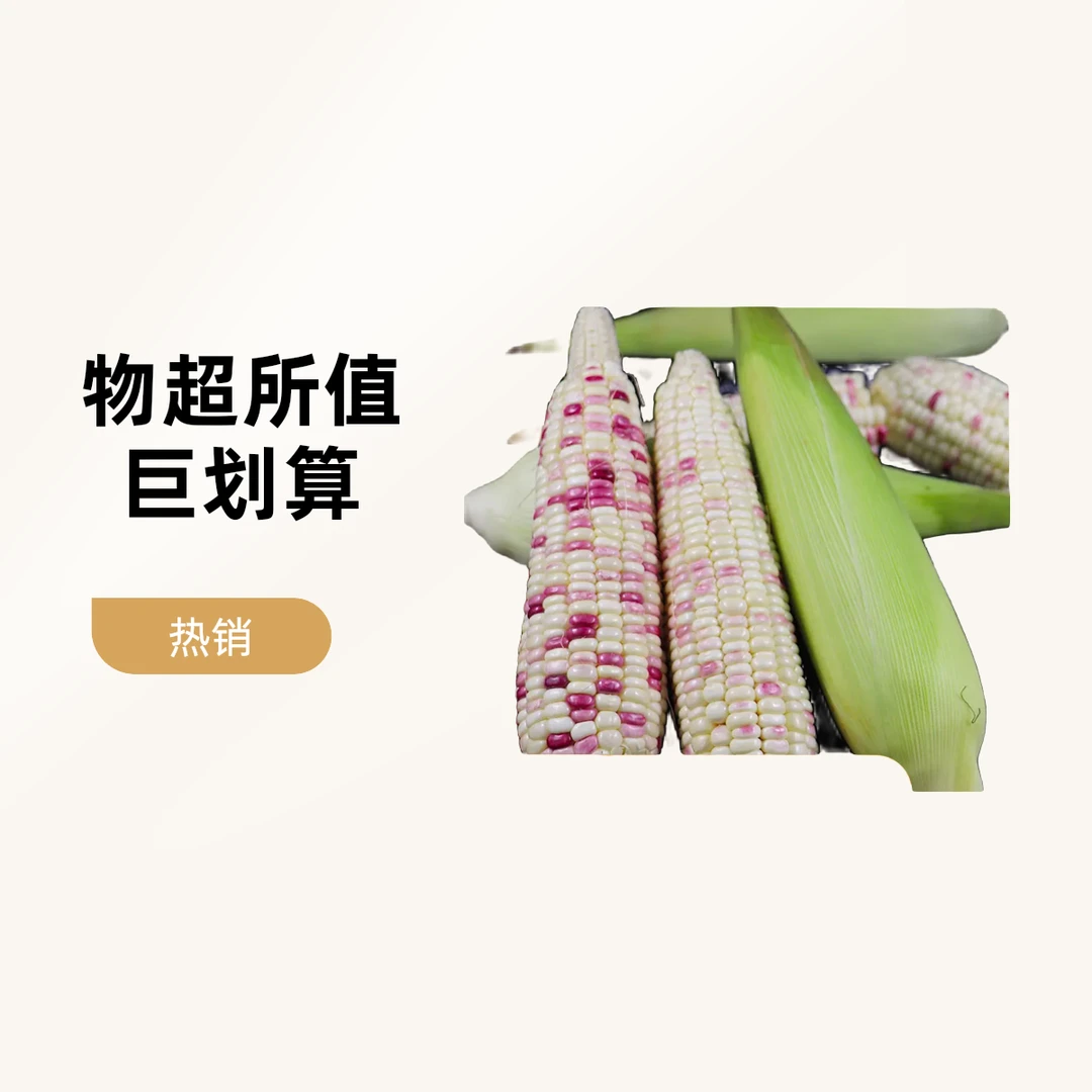 5元4根花甜糯玉米（同店内价格）河北省