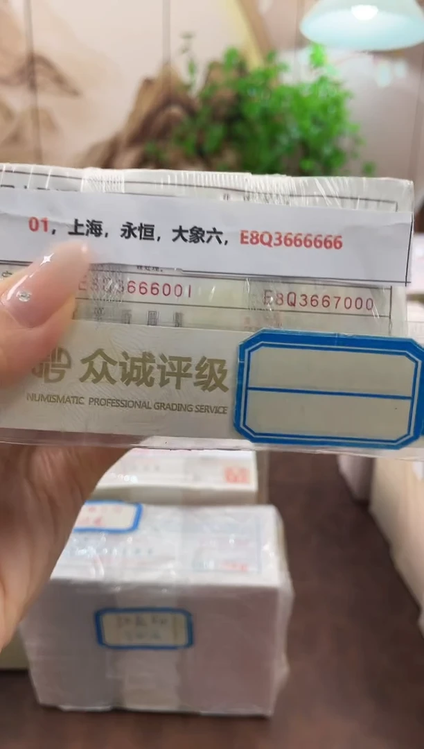 M 01，上海，永恒，大象六，E8Q3666666