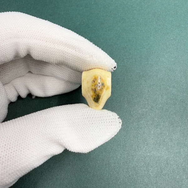 H5481天然猛犸牙 蓝眼 鲨鱼背三通 支持鉴定 假一罚四