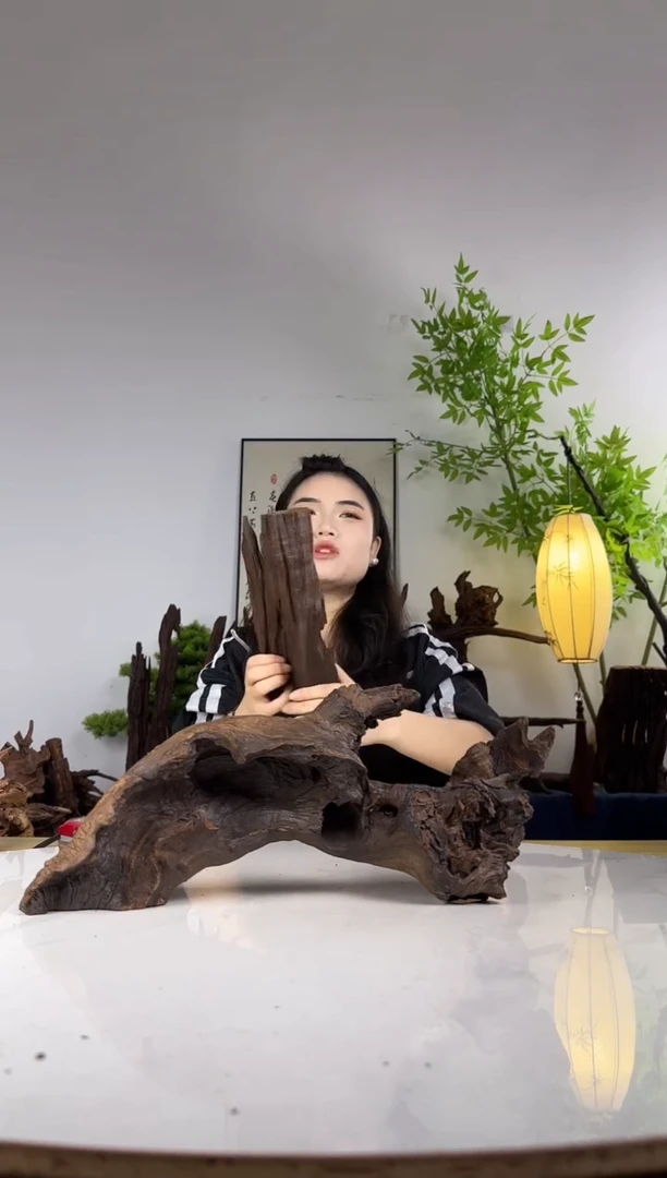 蛋***蛋拍这个定向编号31